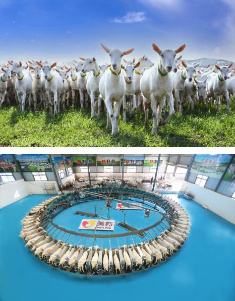 67381cm������Ϸ