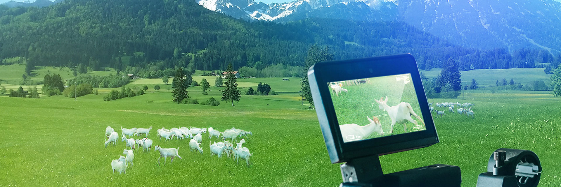 67381cm������Ϸ