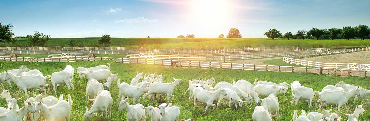 1572504737354138.jpg about-whbanner.jpg