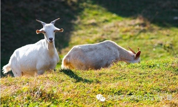 67381cm¶¥¼¶ÓÎÏ·