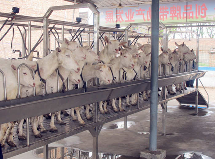 67381cm¶¥¼¶ÓÎÏ·