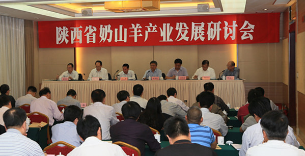 67381cm������Ϸ