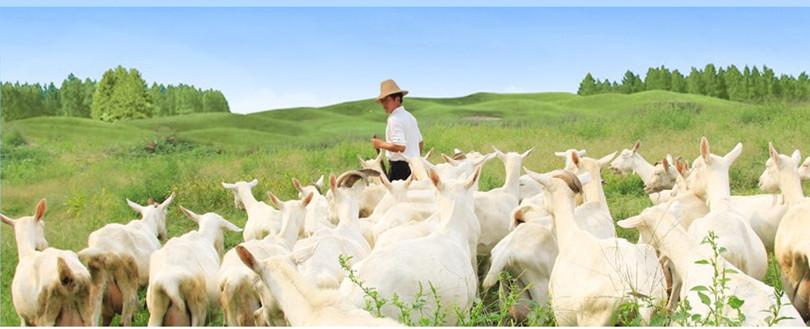 67381cm������Ϸ