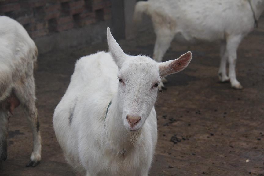 67381cm������Ϸ