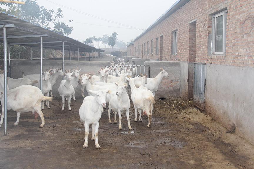 67381cm������Ϸ