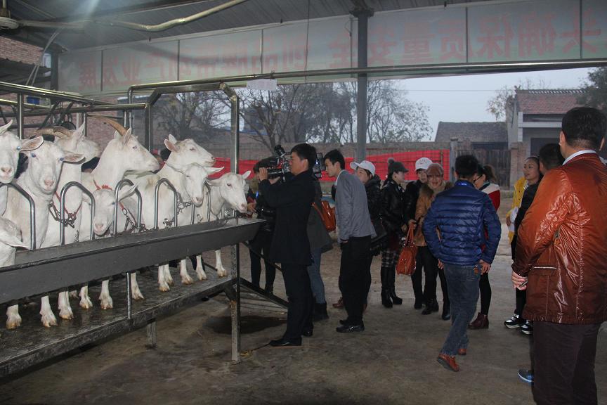 67381cm������Ϸ