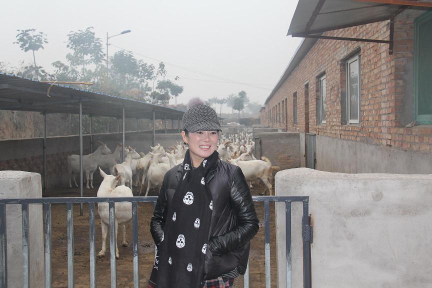 67381cm������Ϸ