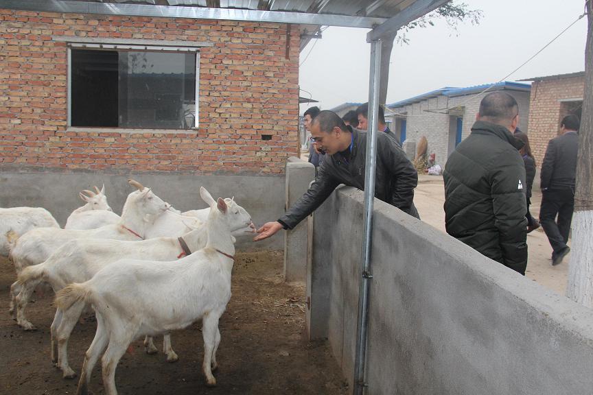 67381cm������Ϸ