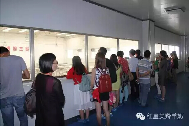 67381cm������Ϸ