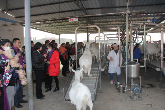 67381cm������Ϸ