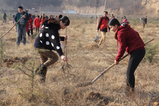 67381cm������Ϸ