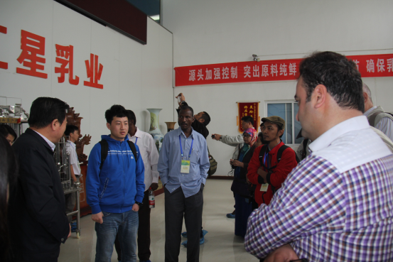 67381cm������Ϸ