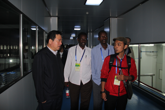 67381cm������Ϸ