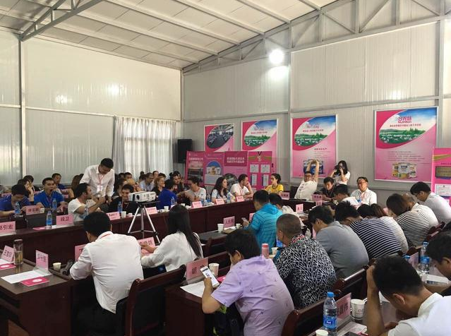 67381cm������Ϸ