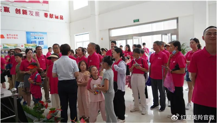 1692156232601197.png image.png