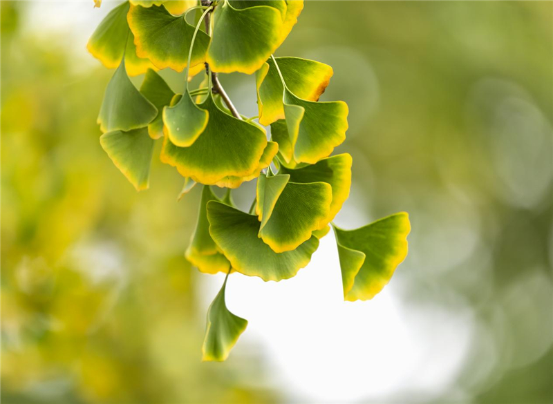 1692783914404713.jpg 图片2.jpg