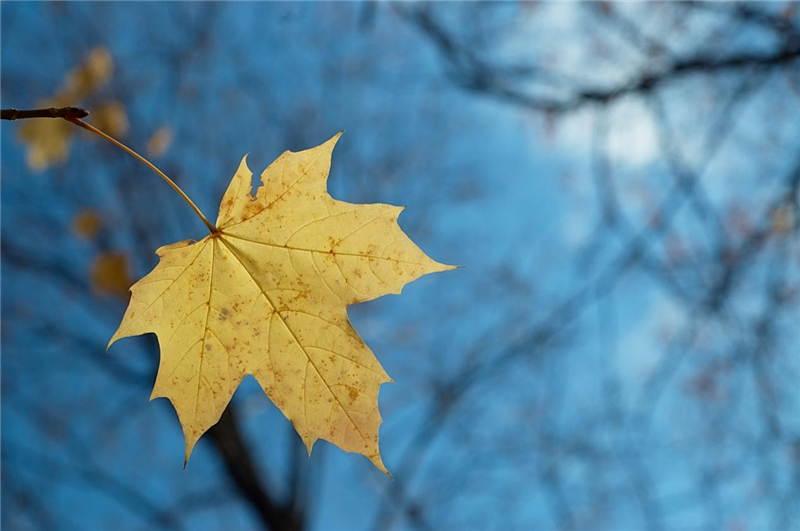 1692783920136668.jpg 图片3.jpg