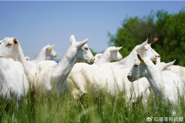 1699941183796217.png image.png