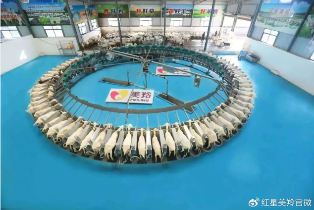 1699941193259309.png image.png