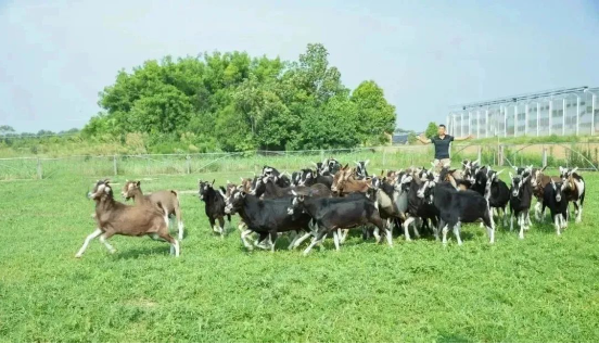 1700011985368179.png 1700011985368179.png