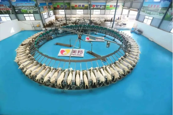 1700012007788342.png 1700012007788342.png