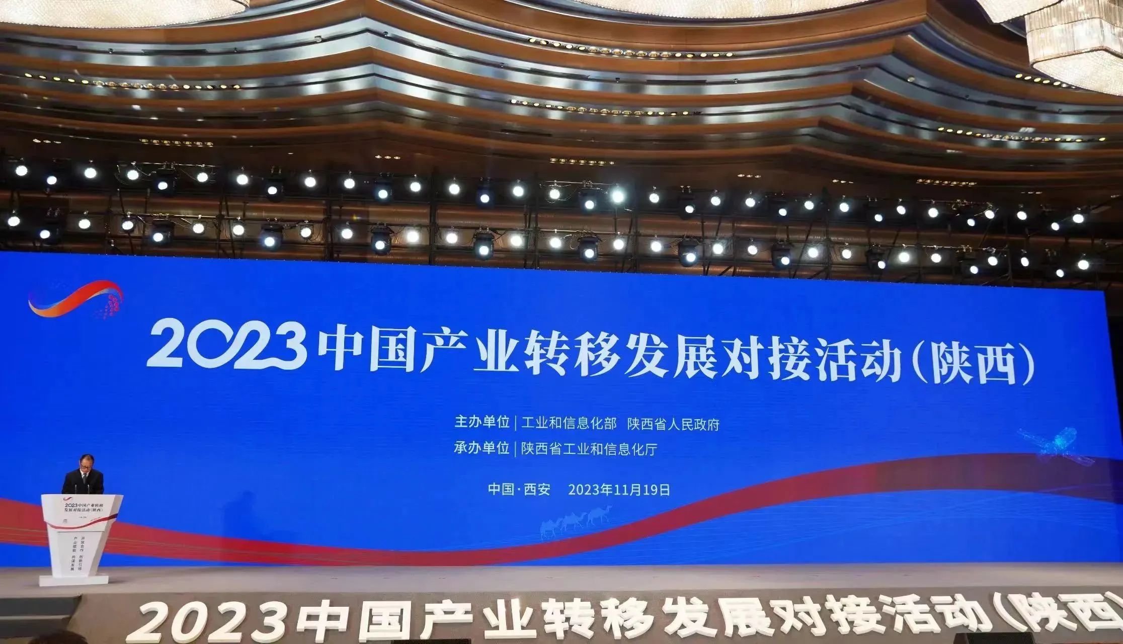 1700559245209220.jpg 1700559245209220.jpg