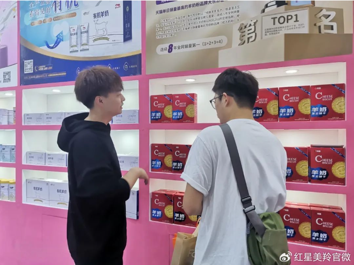 1702459275427305.png image.png