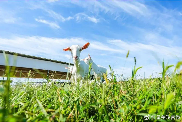 1707025977958102.png image.png