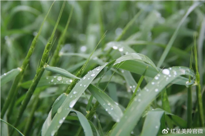 1707026004715188.png image.png