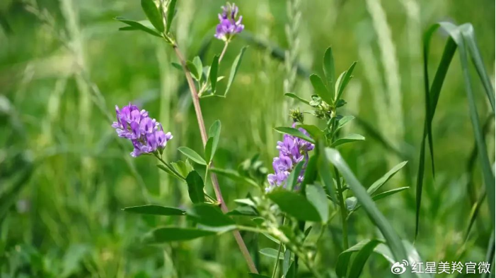 1707026028496156.png image.png