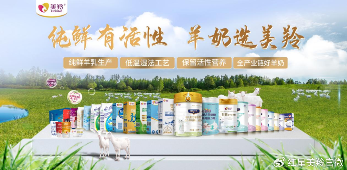 1709254533226261.png image.png