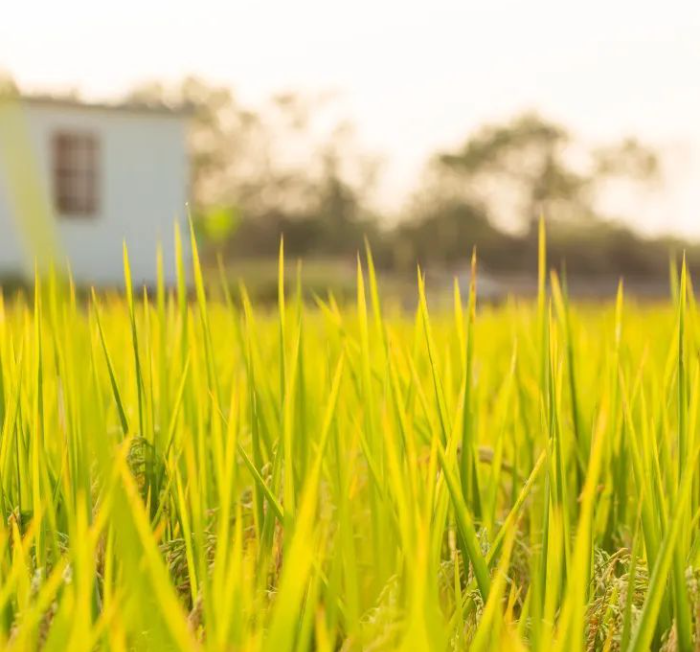 1717549543225056.png image.png