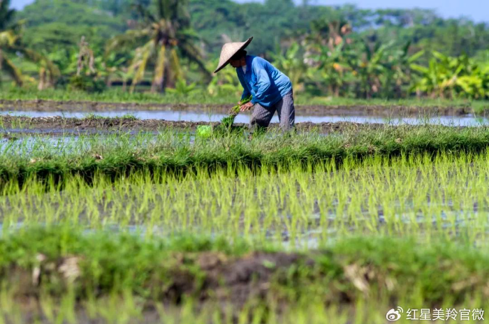 1717549572126216.png image.png