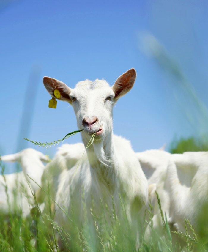 1717549589114791.png image.png