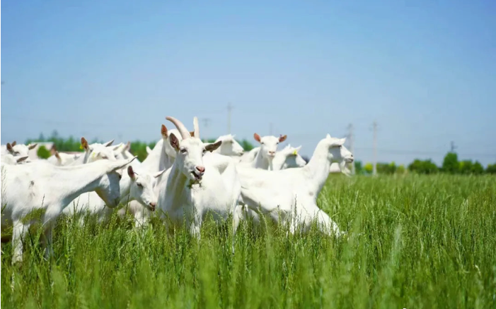 1717549603591687.png image.png