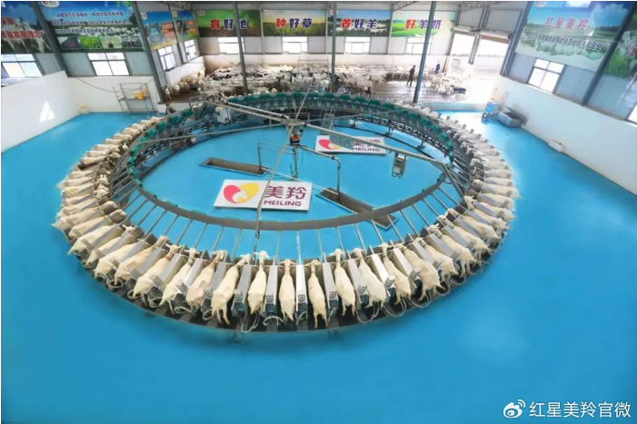 1717549618626413.png image.png