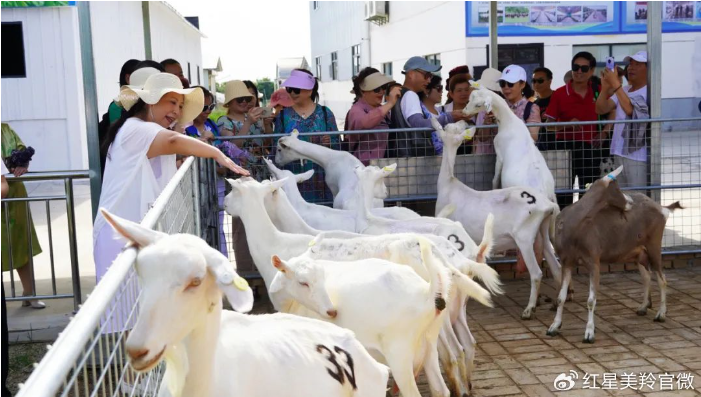 1718413334395289.png image.png