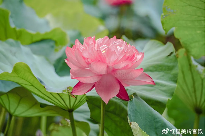 1718932187127709.png image.png