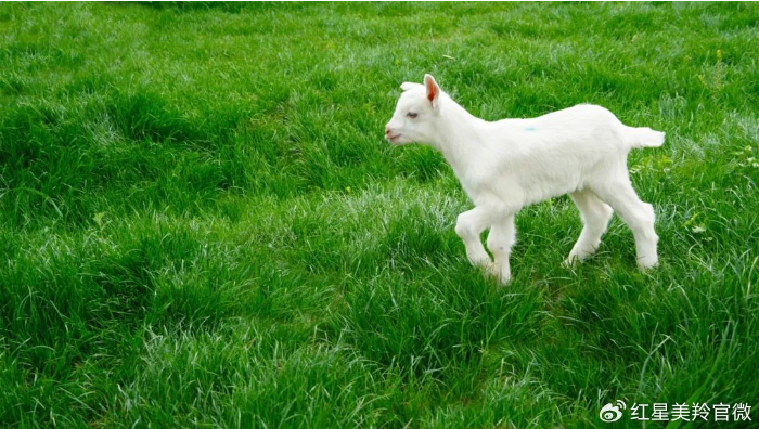 1718932205446626.png image.png