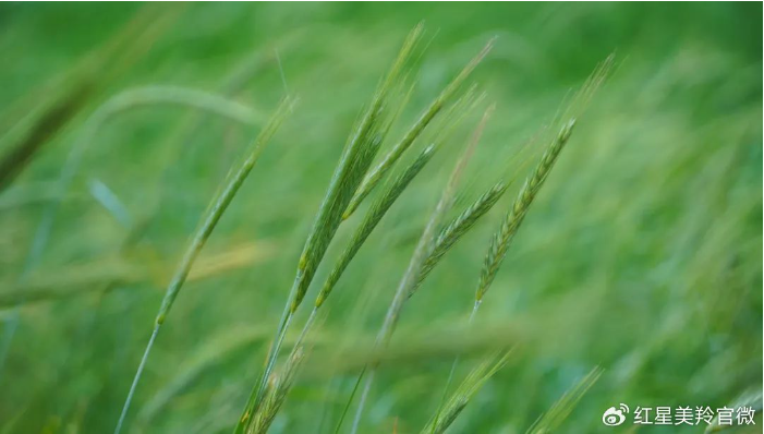 1718932236484882.png image.png