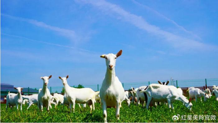 1718932301129547.png image.png