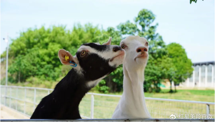 1718932312107656.png image.png