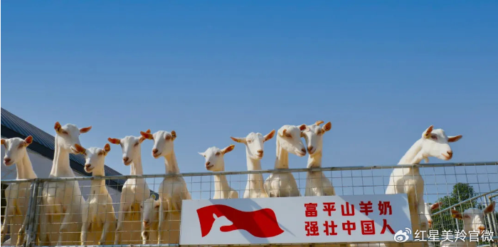 1718932328752367.png image.png