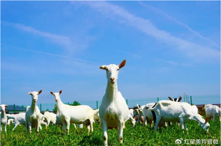 1719309943470122.png image.png