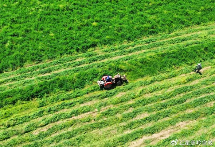 1719309955592289.png image.png