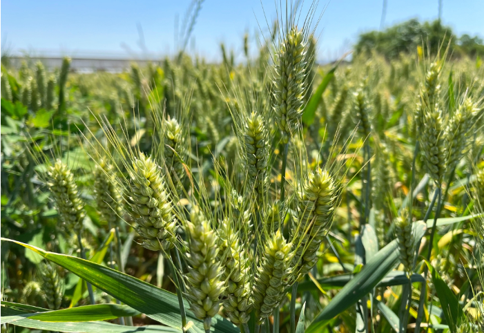 1719309969552829.png image.png