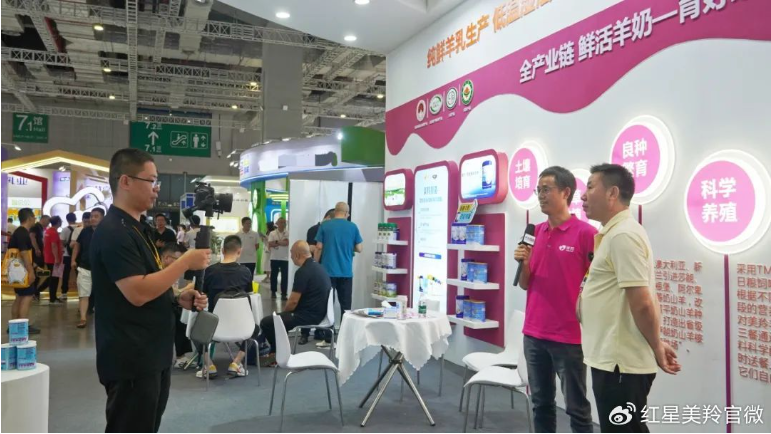 1721619530200312.png image.png