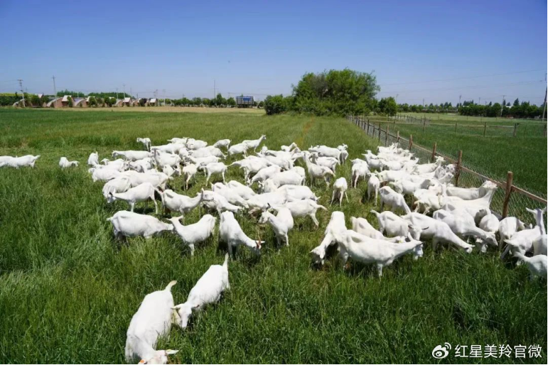 1721619778641216.png image.png