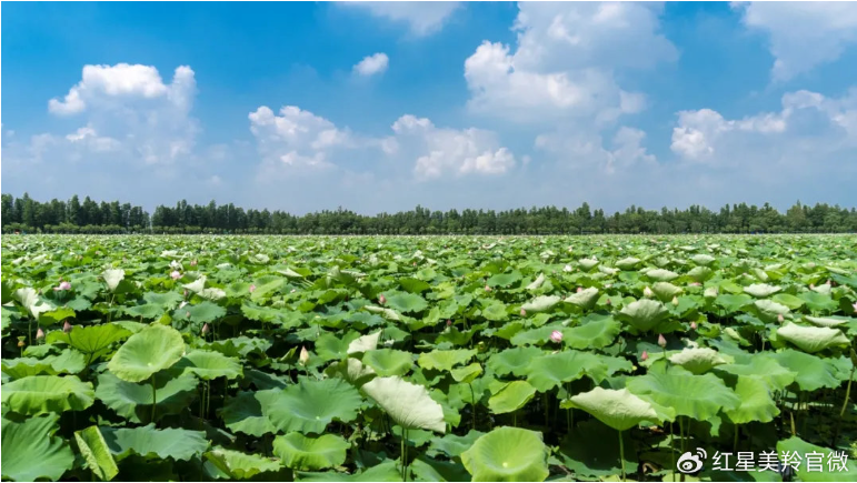 1721620221462290.png image.png