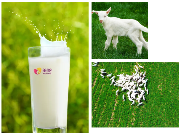 1721620317116297.png image.png